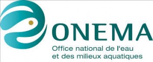 logo ONEMAndex