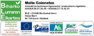 signatures logos documents_Maite_goienetxe