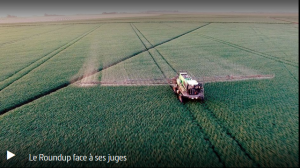 Capture le Roundup face à ses juges