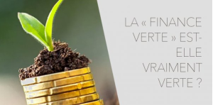 Capture finance verte