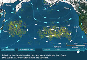 northpacific